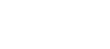 Italian trade Agency